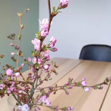 Landhaus-sutje-duenenglueck Санкт-Петер-Ординг